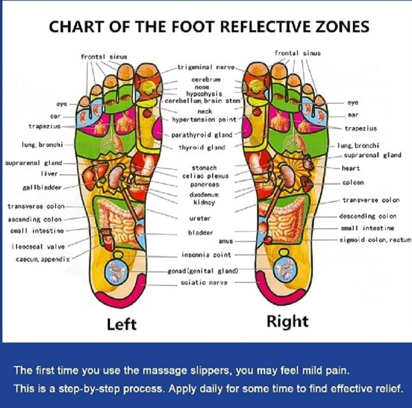 Blueidea Acupressure Massage Slippers for Sugar Patients – Foot Therapy Reflexology Sandals with Acupuncture Points & Non-Slip Sole - Image 7